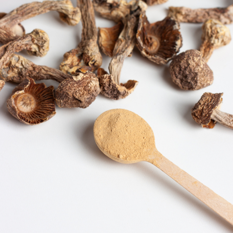 Агарик Бразильский грибной порошок Fungipapa Agaricus blazei 120г-2