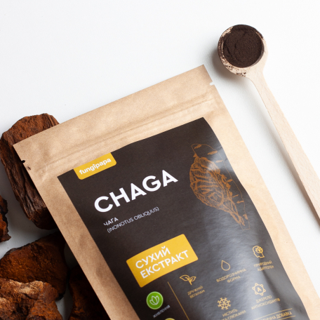 Чага экстракт порошковый Fungipapa Inonotus obliquus 60г-1