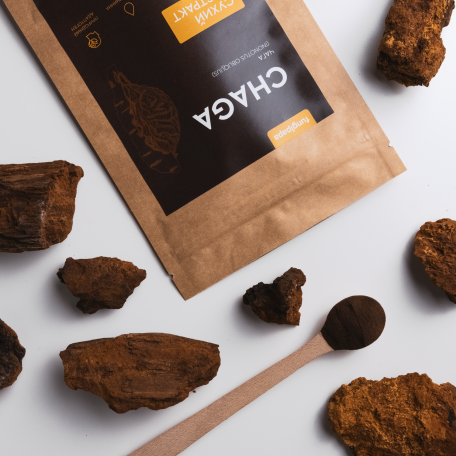 Чага экстракт порошковый Fungipapa Inonotus obliquus 60г-4