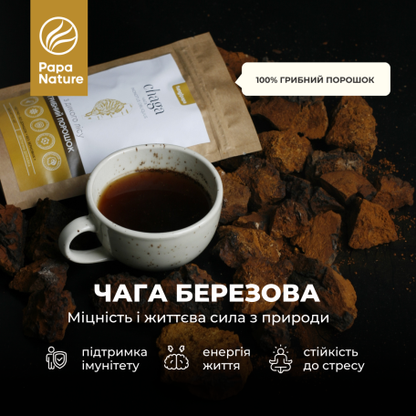 Чага грибний порошок Fungipapa Inonotus obliquus 120г-3