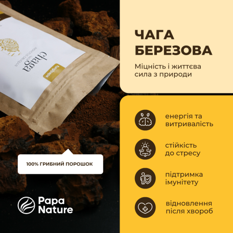 Чага грибний порошок Fungipapa Inonotus obliquus 120г-2