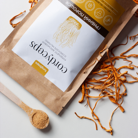 Кордицепс військовий грибний порошок Fungipapa Cordyceps militaris 120г-1