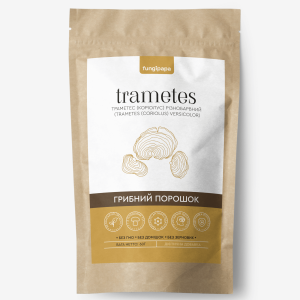 Траметес разноцветный грибной порошок Fungipapa Trametes versicolor 60г Траметес разноцветный грибной порошок Fungipapa Trametes versicolor 60г
