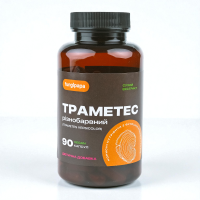 Траметес 90 капсул екстракт Fungipapa Trametes versicolor