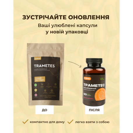 Траметес 90 капсул экстракт Fungipapa Trametes versicolor-1