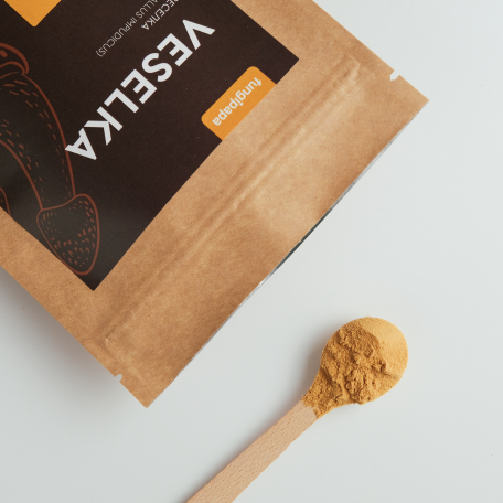 Веселка экстракт Fungipapa Phallus impudicus 60г-1