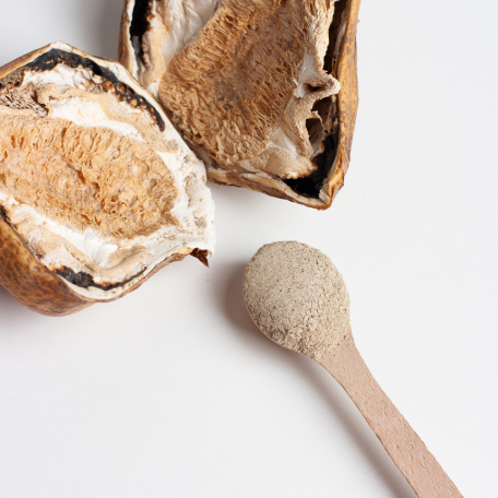 Веселка Phallus impudicus Fungipapa грибной порошок 60г-2