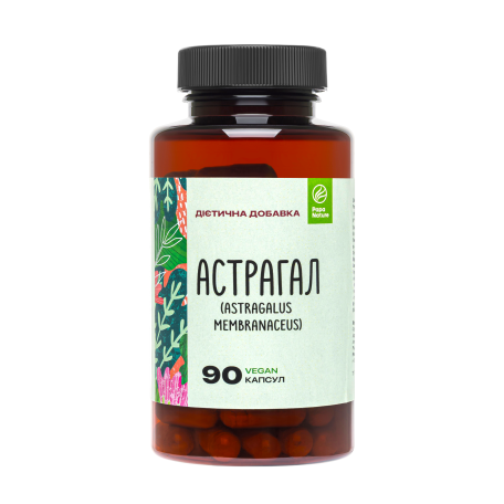 Астрагал экстракт 90 капсул (Astragalus membranaceus) PapaNature