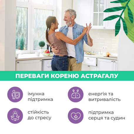 Астрагал экстракт 90 капсул (Astragalus membranaceus) PapaNature-1